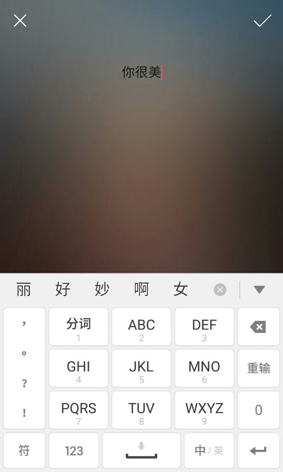 我们先来制作文字的,这里支持文字和图片2中形式然后点击"隐藏图"按钮