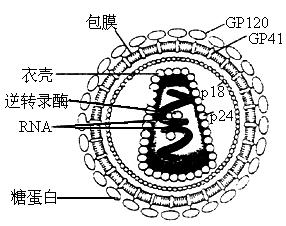 v2-eea95090df3d1de87d3655dca1e16449_b.jpg
