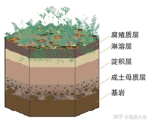 土壤教学经典用图30张! - 知乎