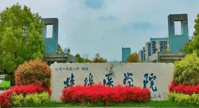 尤其是全国数量众多的"学院"级高校,都一窝蜂地想要升格为"大学"!