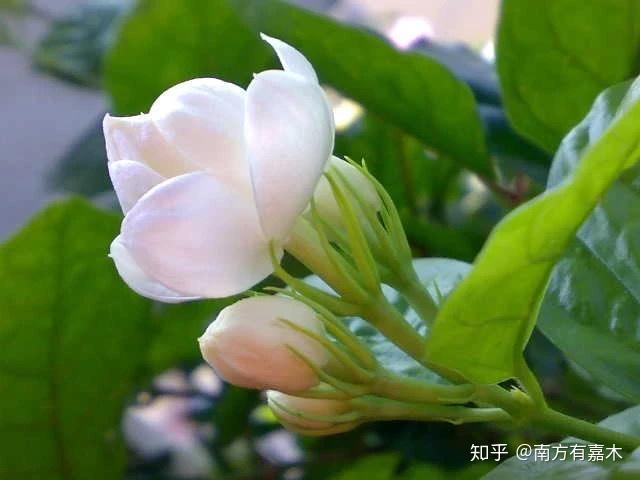 v2-eebe1c1ec5621cd5c9babb786fa1d729_r.jpg