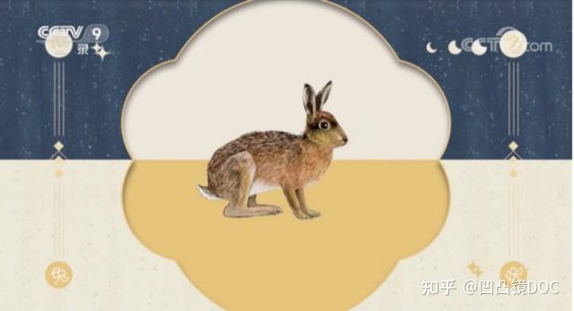 《萌兔的奇妙旅程》:春节看片,就“兔”个萌 - 知乎
