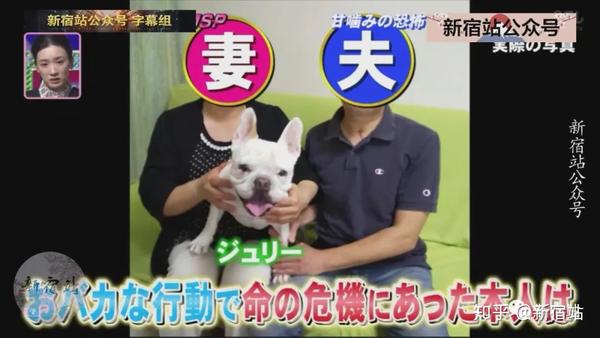 咬了自家狗狗一口的日本人 差点丢了性命 知乎