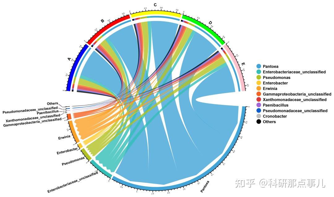 正文——代碼