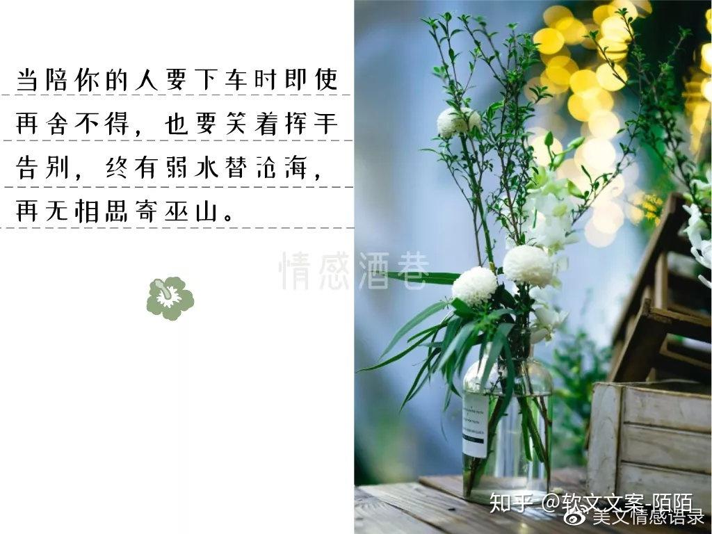 最爱的15句话，句句都精辟- 知乎