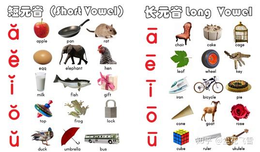 自然拼读没那么难，快速入门的学习路径 - 知乎