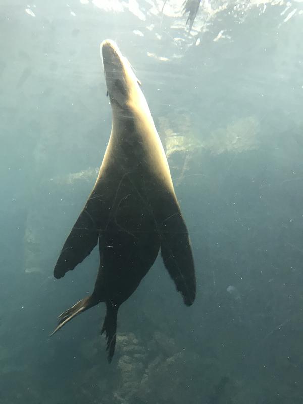 学习私募股权投资