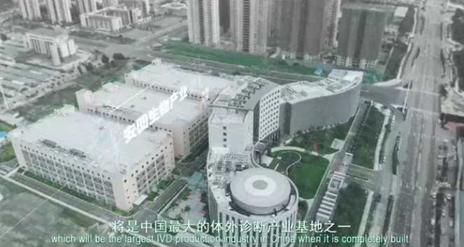 v2-eee6daa8bc5057f6cc48876e27b587a6_1200x500.jpg