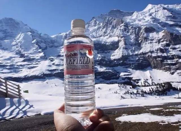 ice field水来自加拿大温哥华自然保护区内,是加拿大很著名的矿泉水