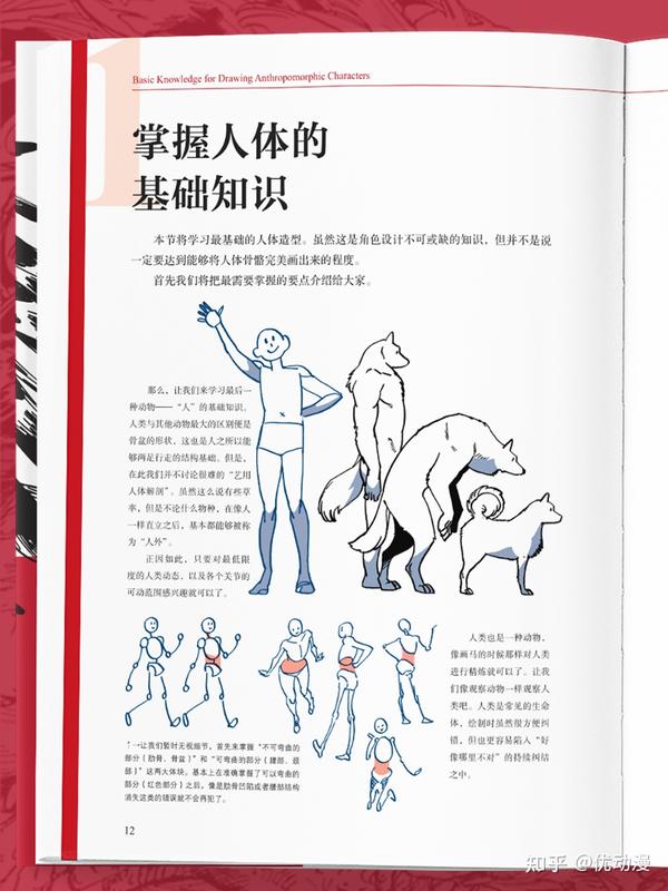 八百年前就在等的人外教程中文版…… - 知乎