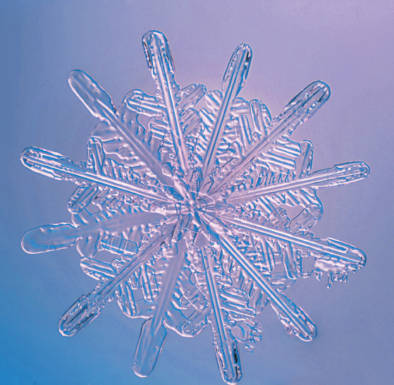 在雪花家族中,不是六瓣的雪花种类并不少,只是大多不常见.