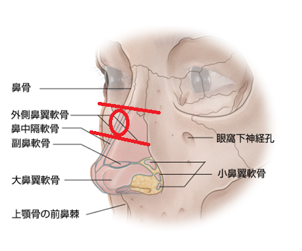 v2-ef03d3295b3624bc6c668decef9dc436_r.jpg