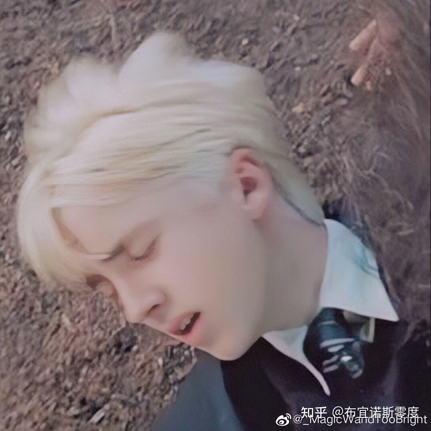 为什么磕德拉科马尔福和哈利波特的cp的人普遍磕的是德哈而不是哈德?