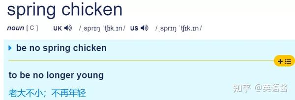 Spring chicken spring Chicken spring-chicken-spring-chicken