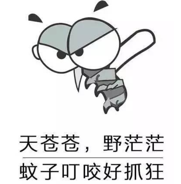 广东蚊子搞笑图片