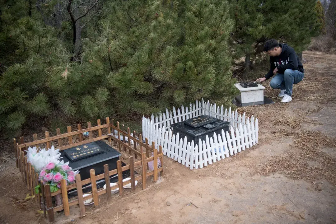 据说,北京周边地区的宠物墓地报价是一平米6000元,十年起租.