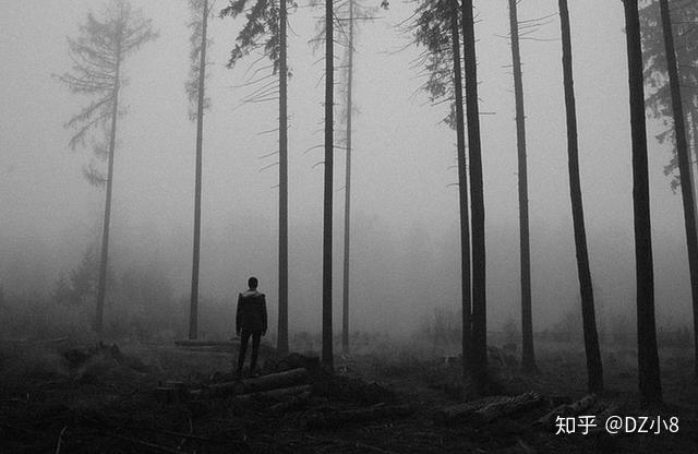 百年孤独15句经典语录体味人生享受孤独