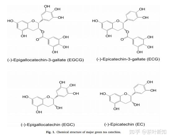 egcg具有多元酚结构,可以螯合金属离子,清除自由基等而具有强抗氧化