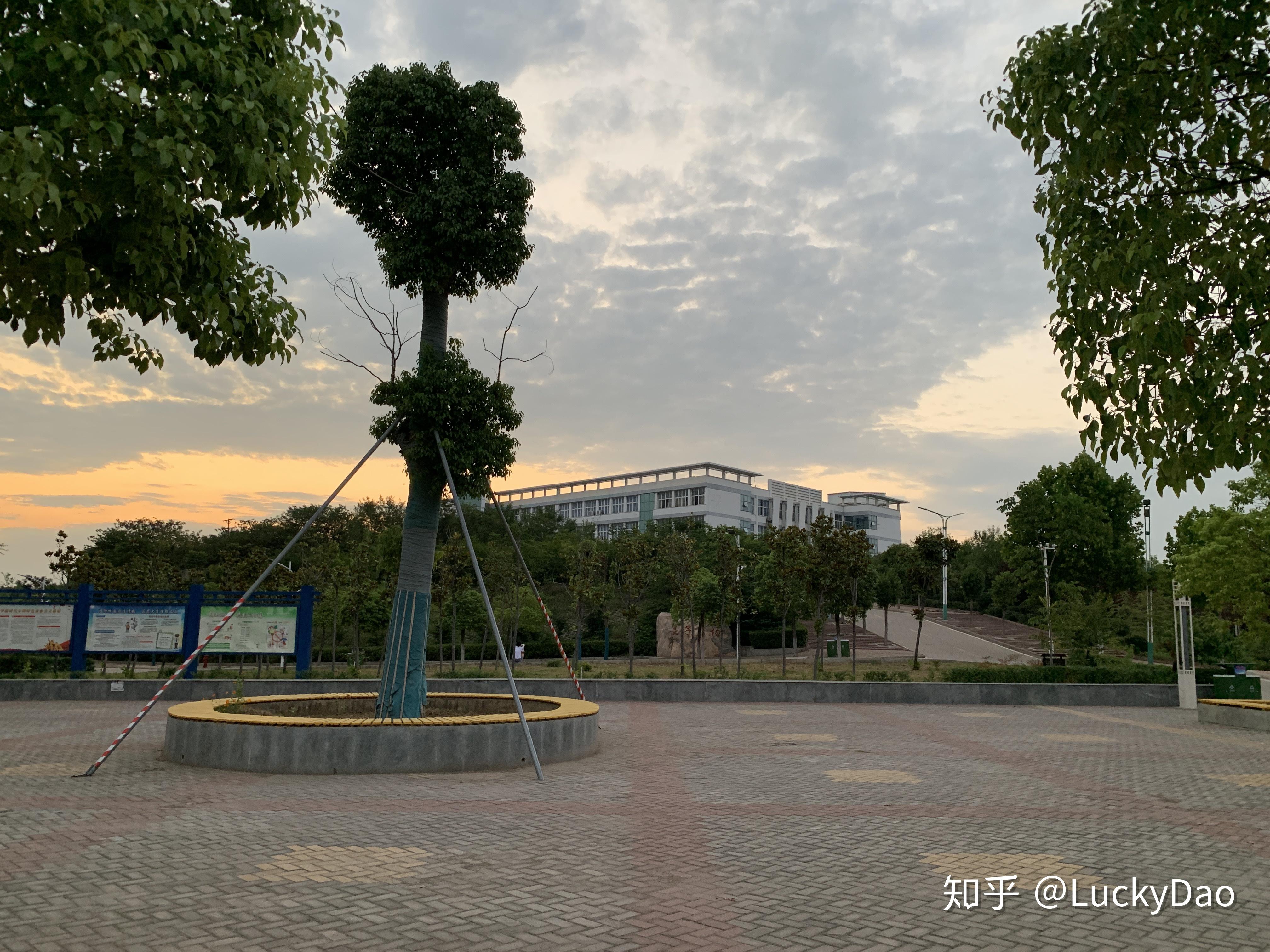 平顶山学院适合学习考研吗