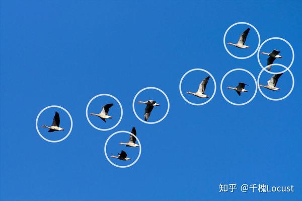 三角形构图:以三个视觉中心点为主要位置,形成一个稳定的三角形 10.