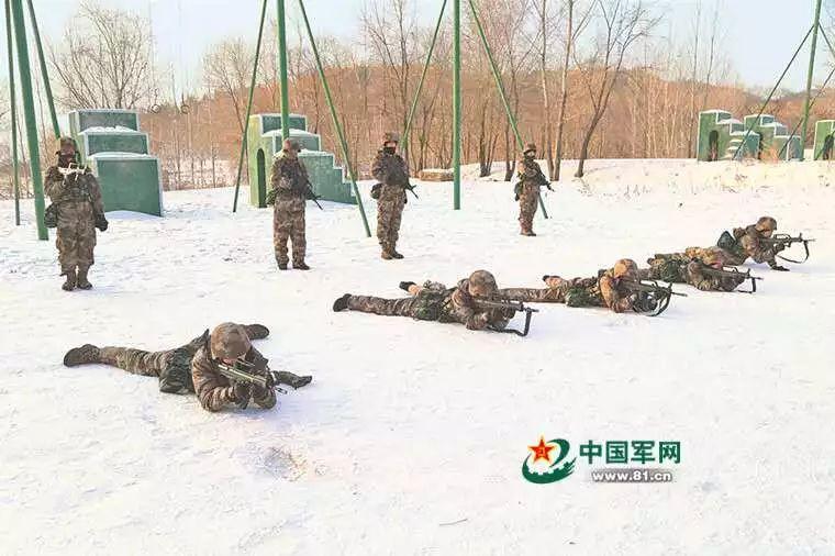 独家珍藏版！特种兵之火凤凰全集下载指南 (独家珍藏版是什么意思)