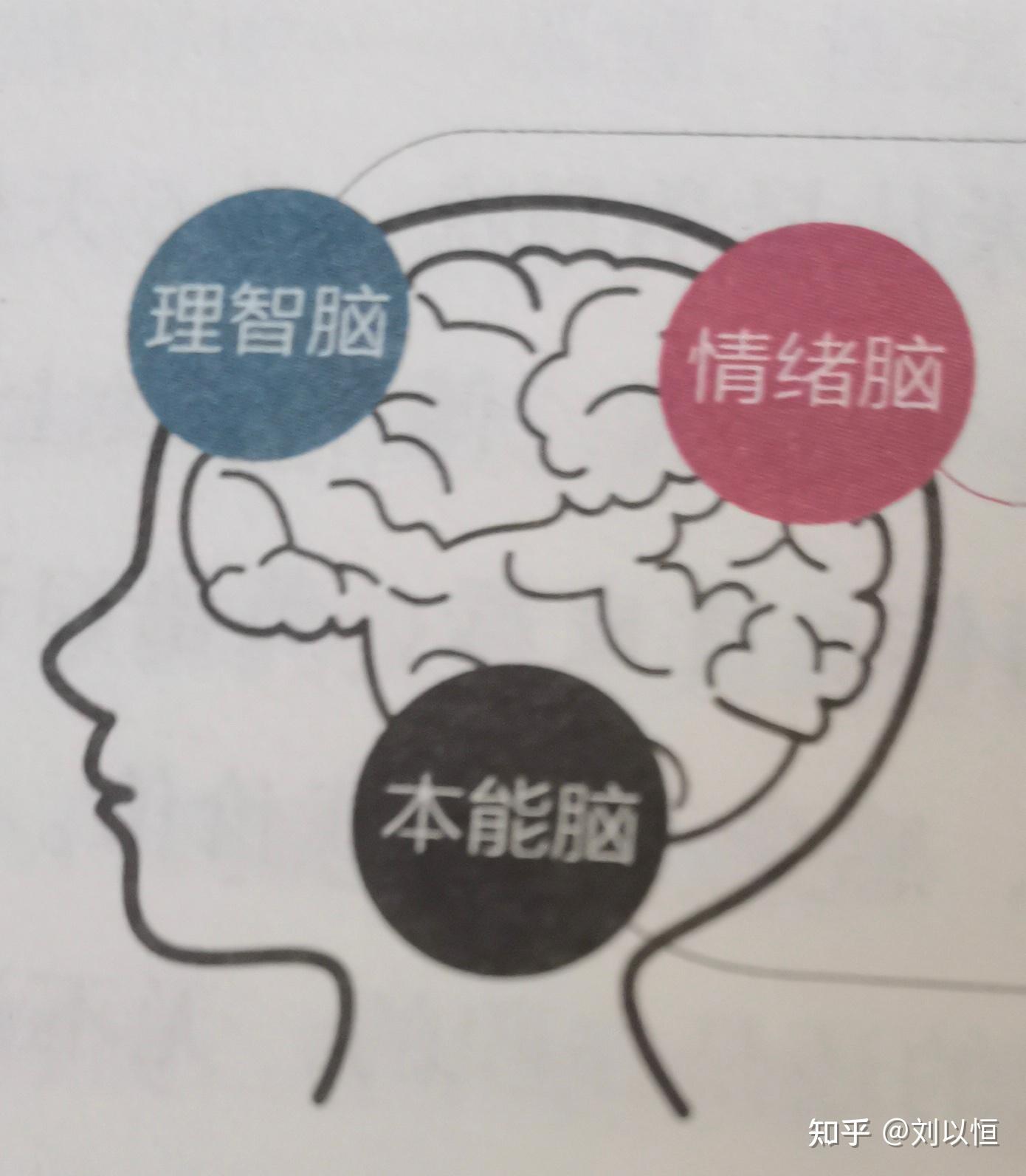 真正的学习成长是反馈，反馈，再反馈 - 知乎