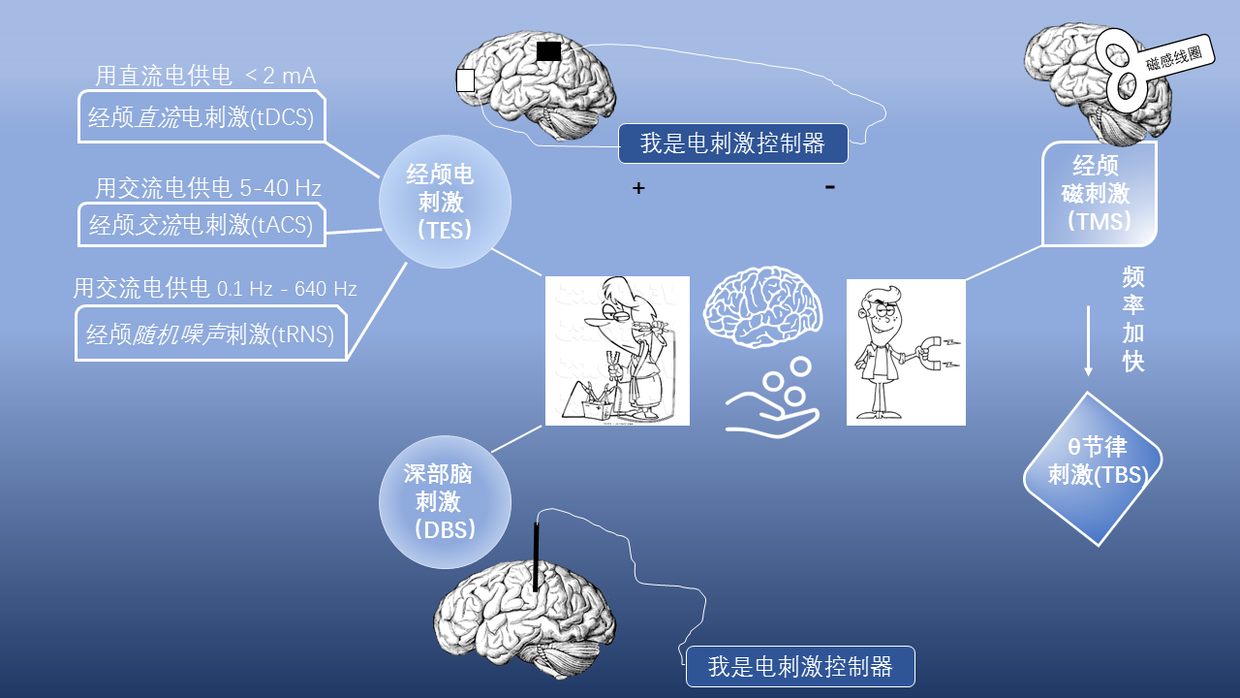 行为与认知神经科学 - 知乎专栏