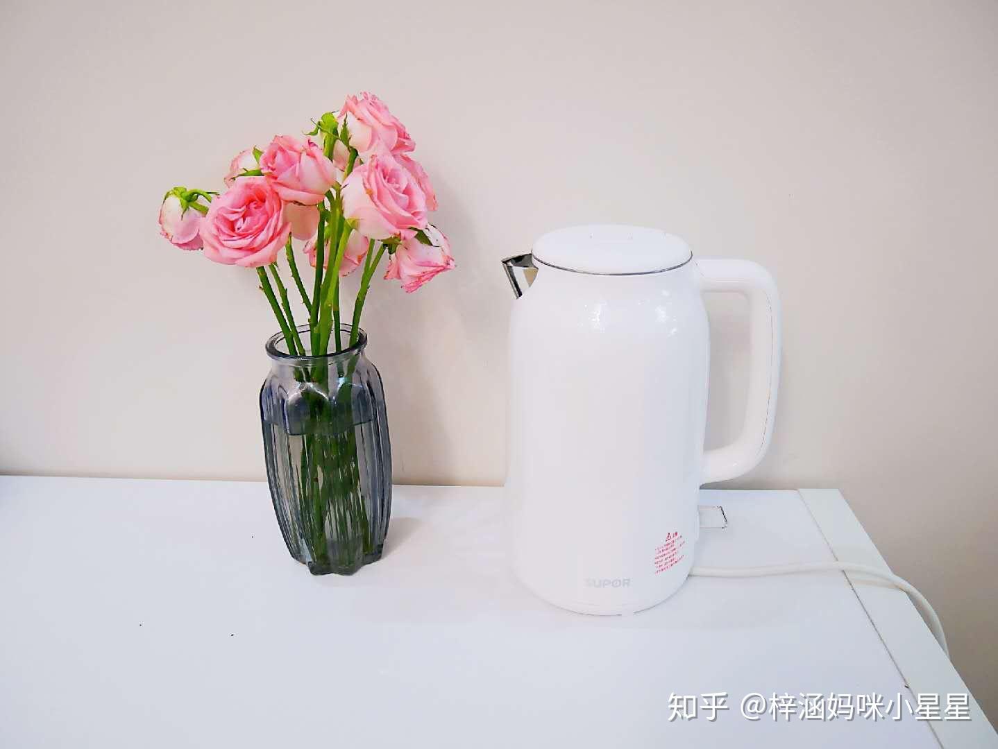 烧水壶怎么选更实用 v2-ef4cb44159c217103024dc22363cf611_r.jpg