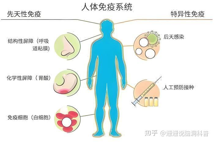 克莉丝汀股票_港股克莉丝汀_克莉丝汀股票价格