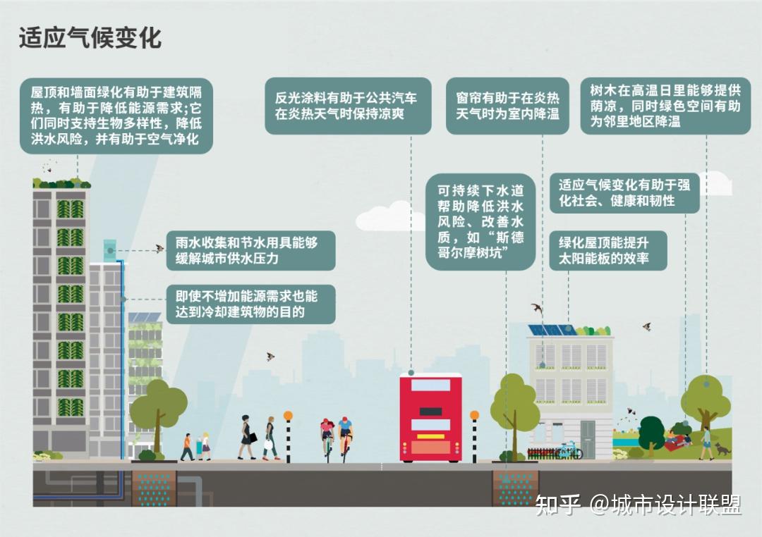 国外城市气候适应行动实践 - 知乎