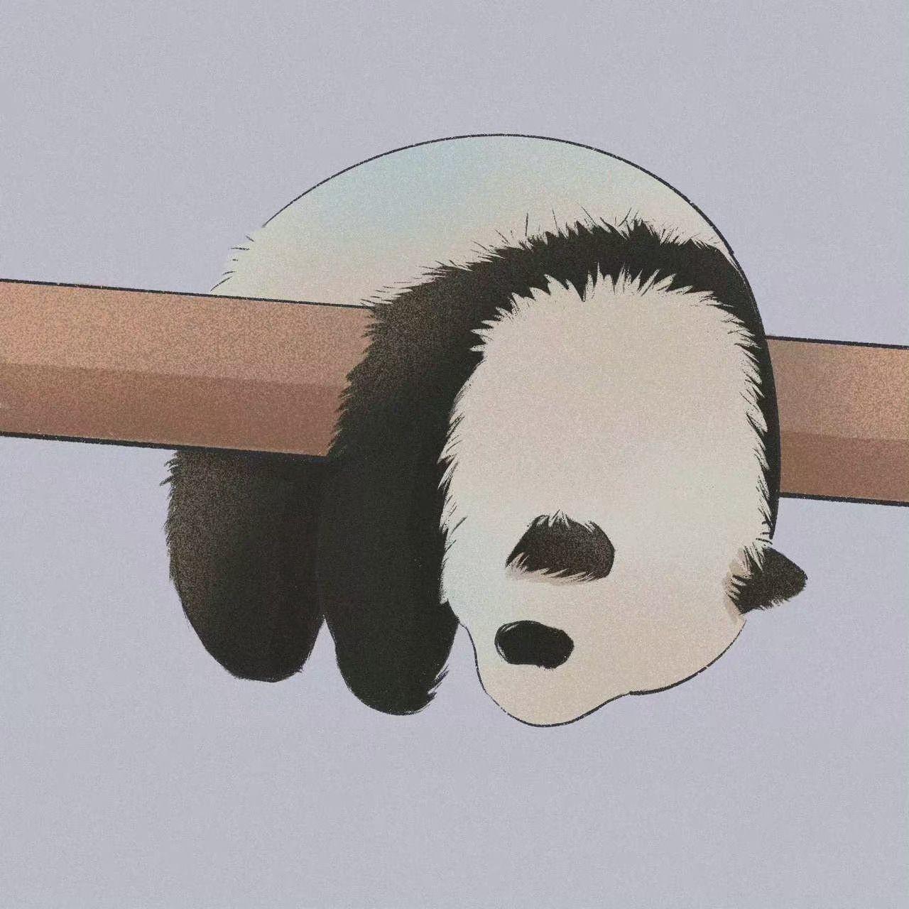 奇趣果果