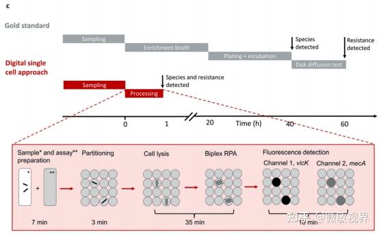 一种用于现场即时检验（point-of-care testing）的ddPCR - 知乎