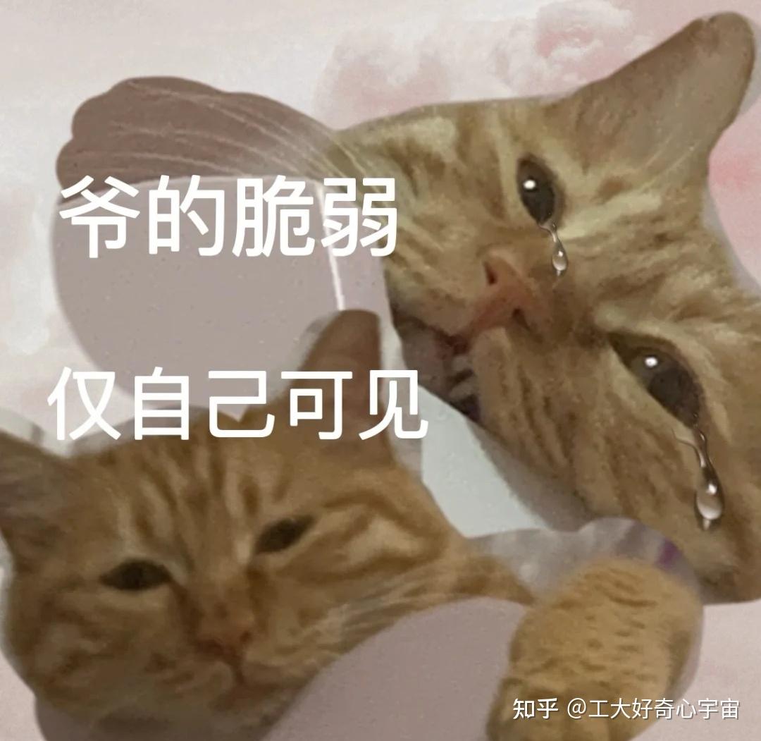 请教高人
