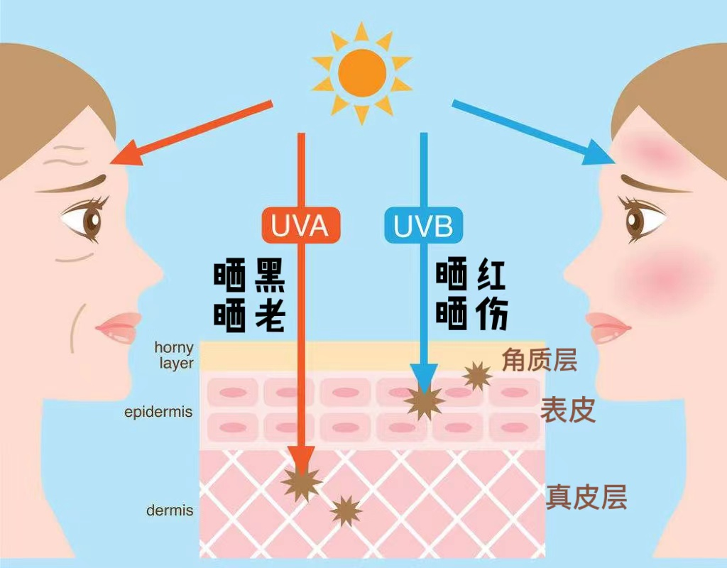 图片摘自网络●uvc绝大多数会被臭氧层阻断,可忽略不计.