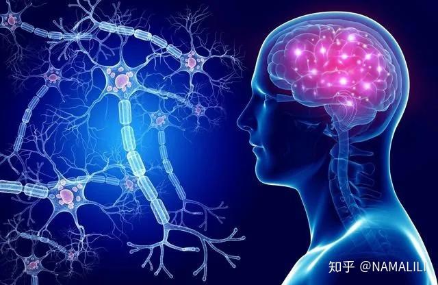 干細胞最全的科普(圖1)