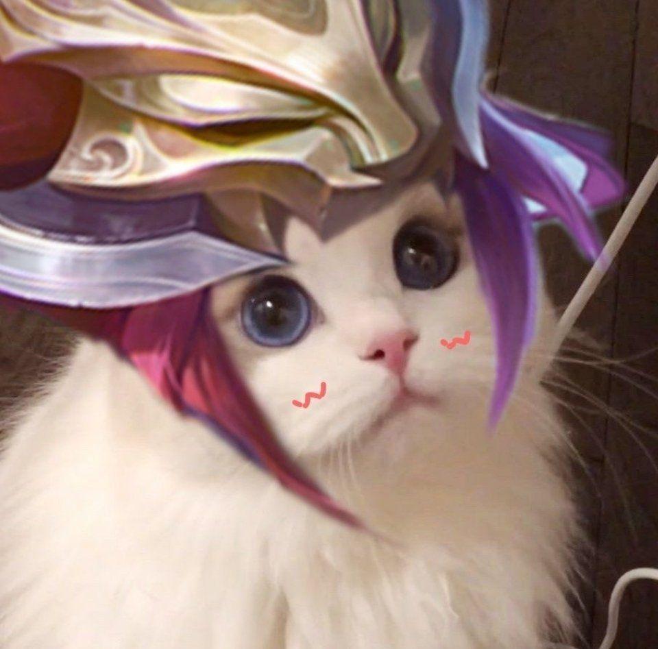 求玄策的这个表情包