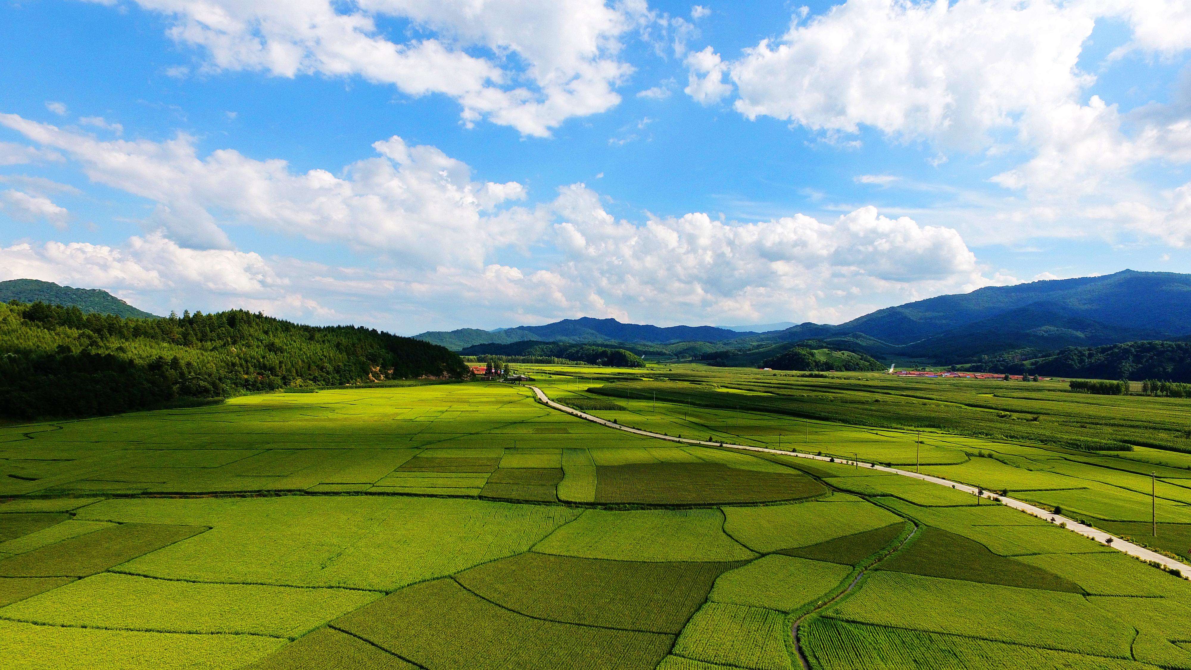 三,五常大米品质