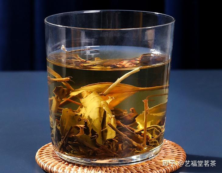 温暖的黄金芽属于什么茶的插图