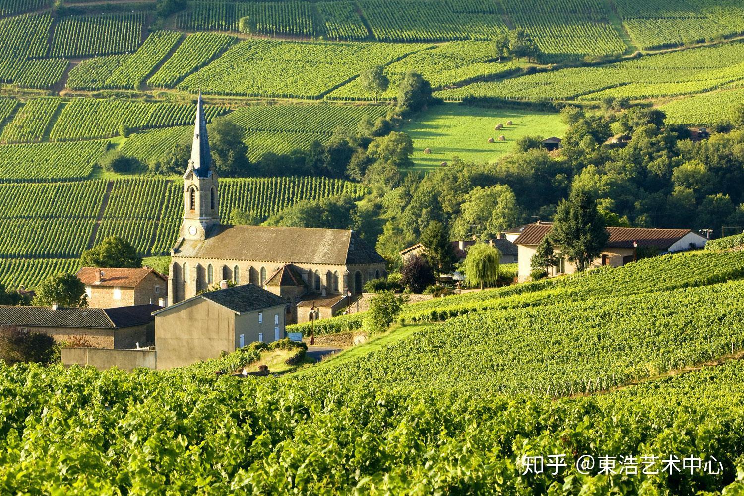 探秘勃艮第 - 知乎