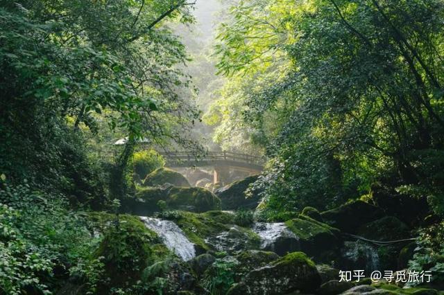 国内10大避暑胜地 | 炎炎夏日，会玩儿的人都去这里纳凉避暑了！ - 知乎
