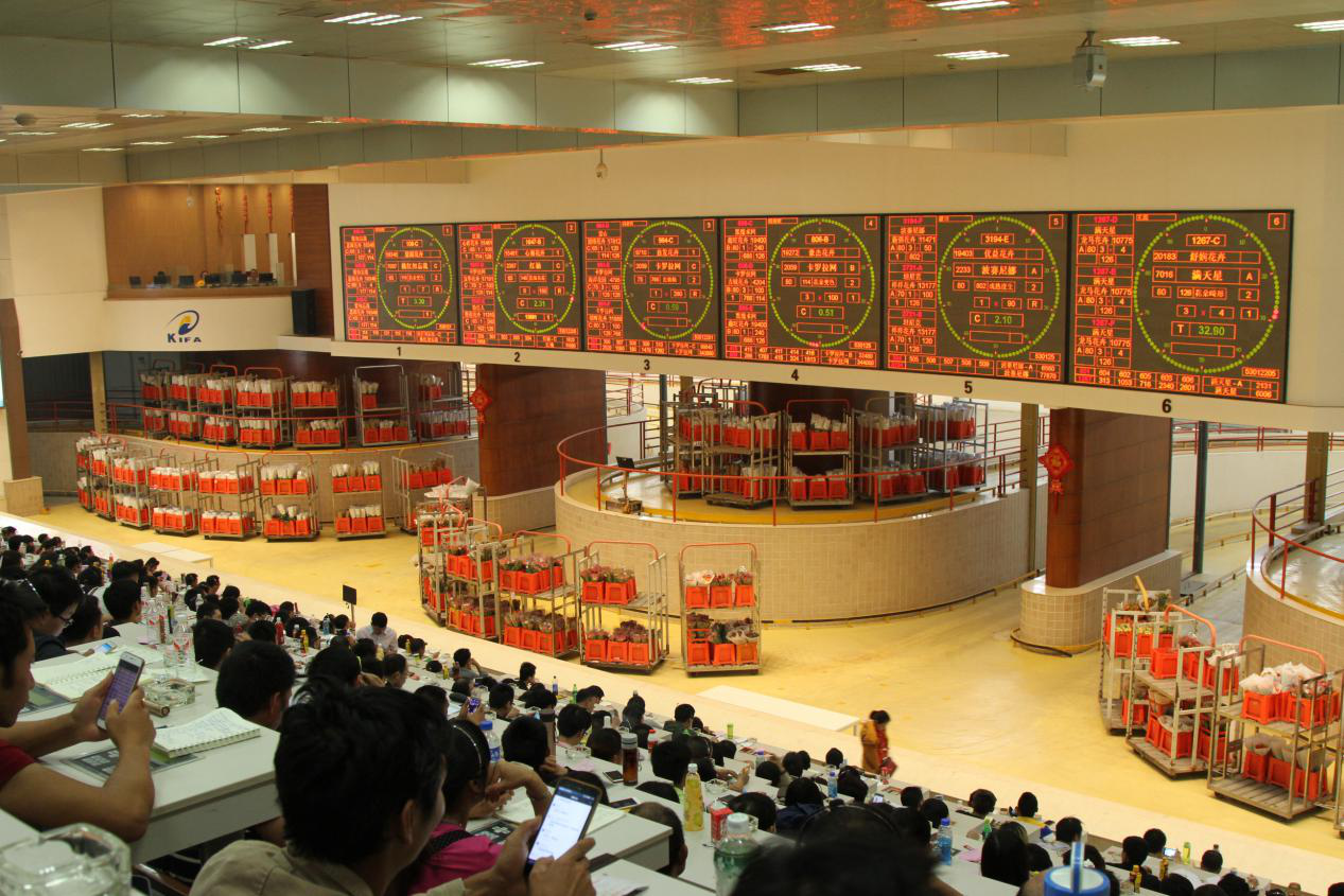 斗南国际花卉中心2019年9月22日拍卖成交参考价格