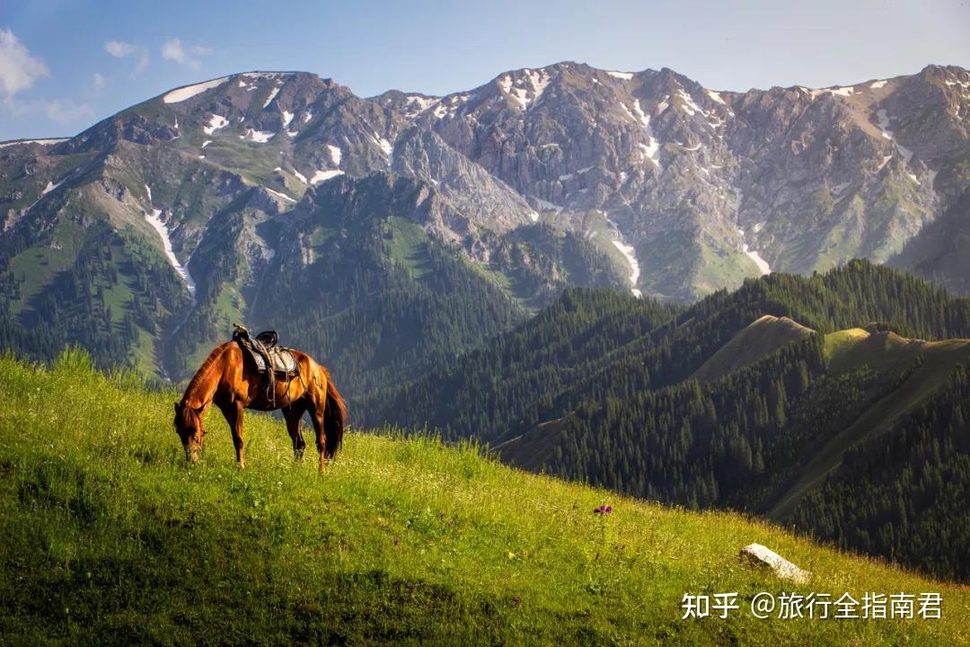 草原花海，塞外江南——超全新疆伊犁旅游攻略 - 知乎