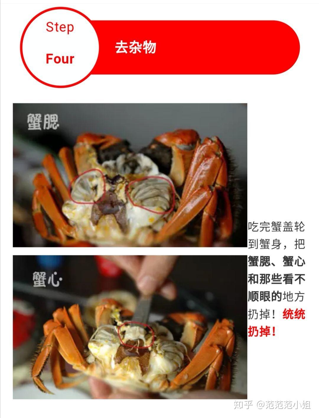 教会你怎么正确吃螃蟹