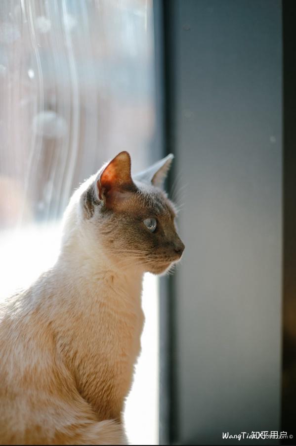 新手入手佳能6d怎么样?