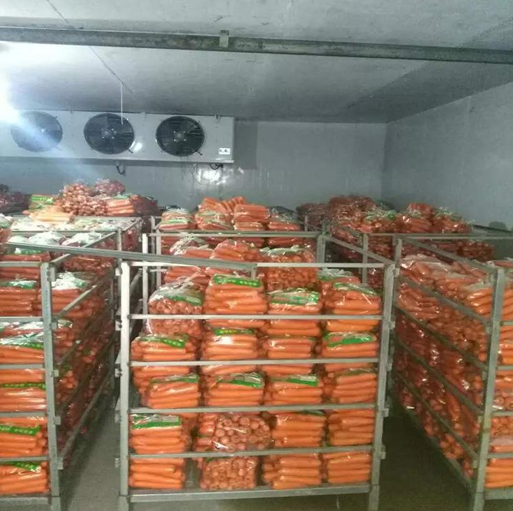 建造500m06果蔬气调库造价是多少