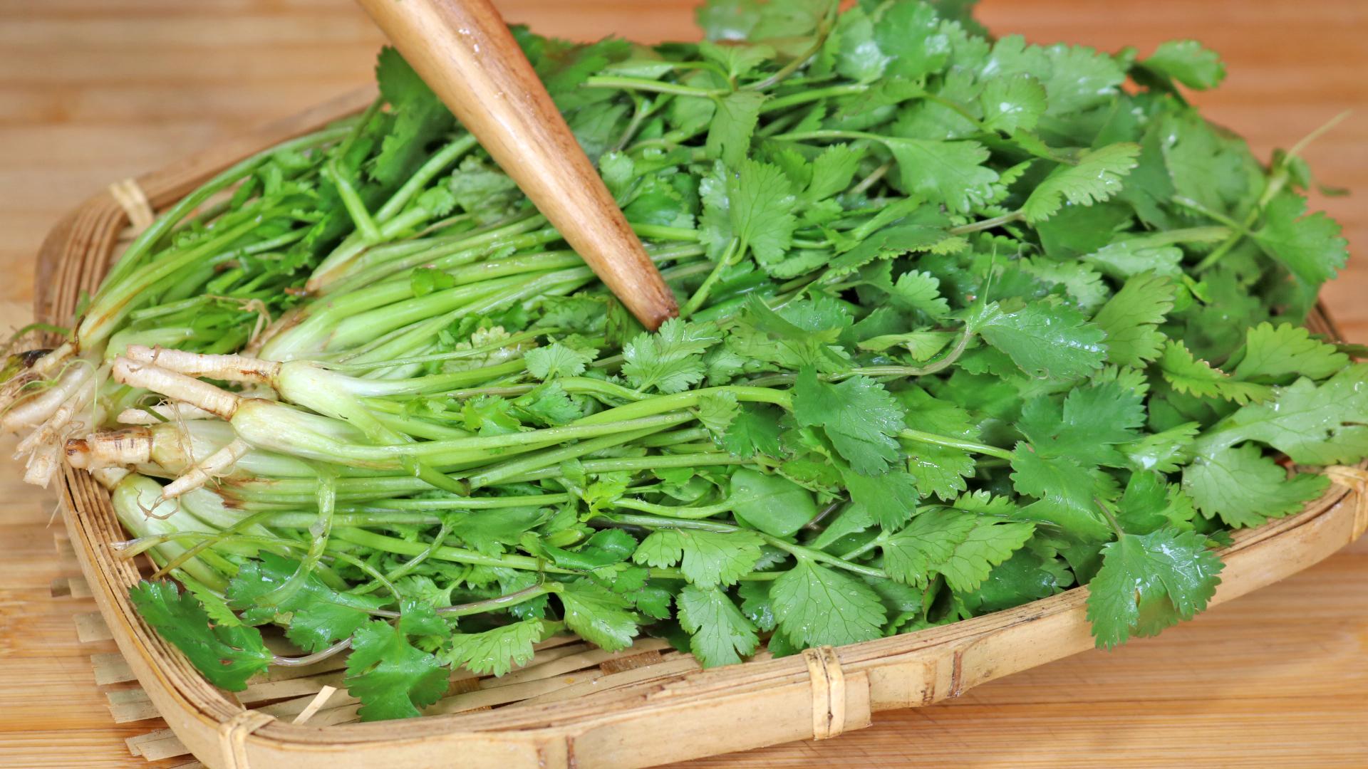 这才是腌香菜的正确做法味道超赞比吃榨菜还香超过瘾