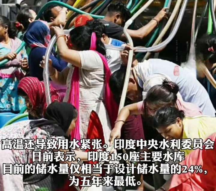 蚊子都不见了!印度教授称高温已达生存极限,污泥池中都有人游泳