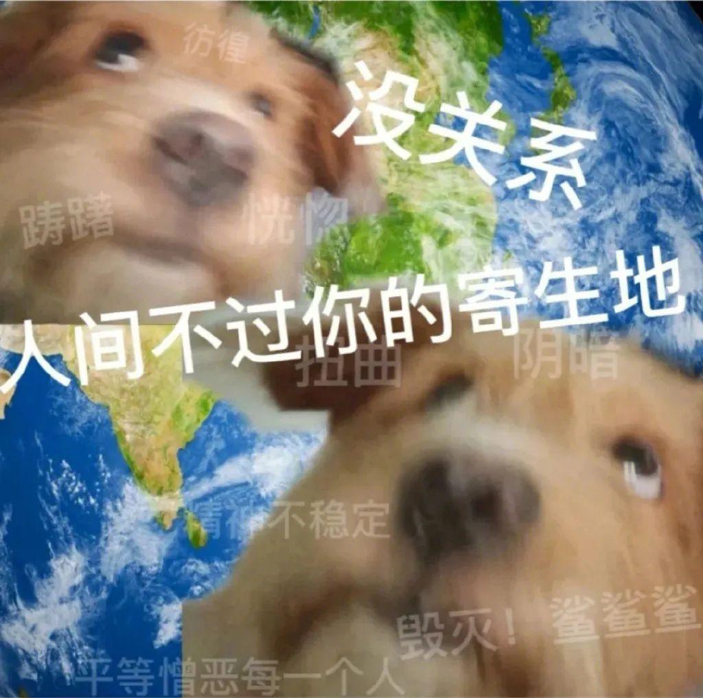 发疯发癫的表情包 - 知乎
