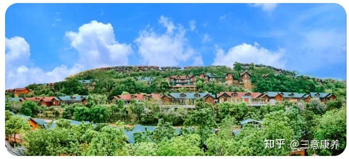 玩转河源巴伐利亚庄园解锁山林康养之旅泡国药温泉