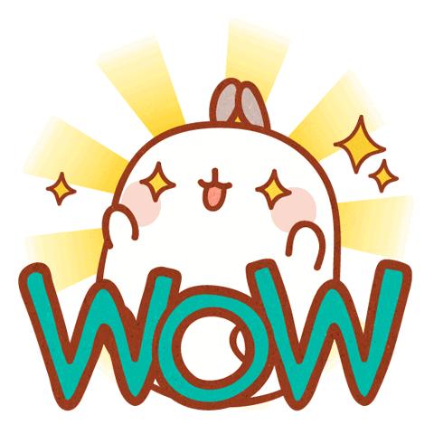 活动准备